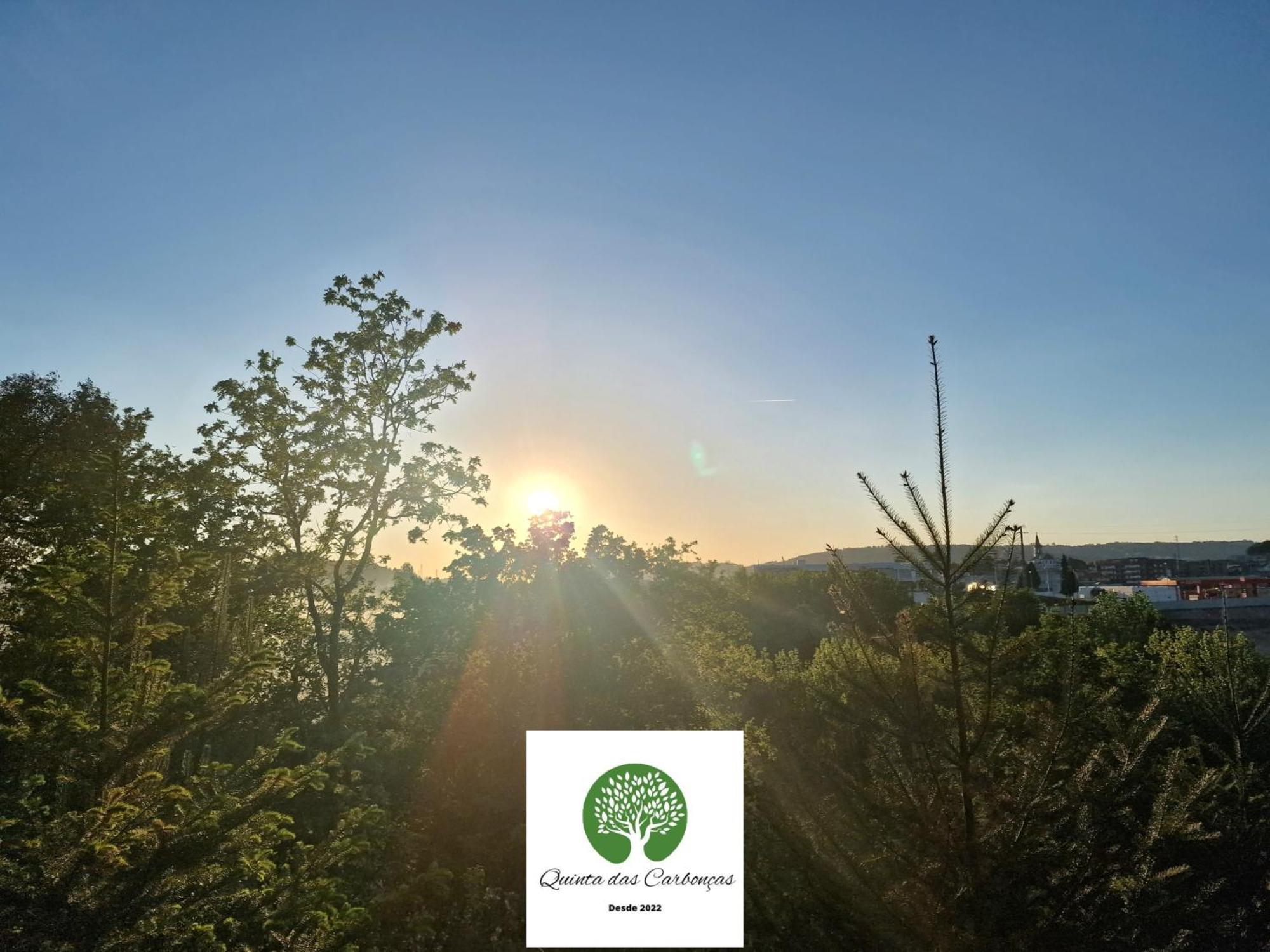 Quinta Das Carboncas Фафи Экстерьер фото
